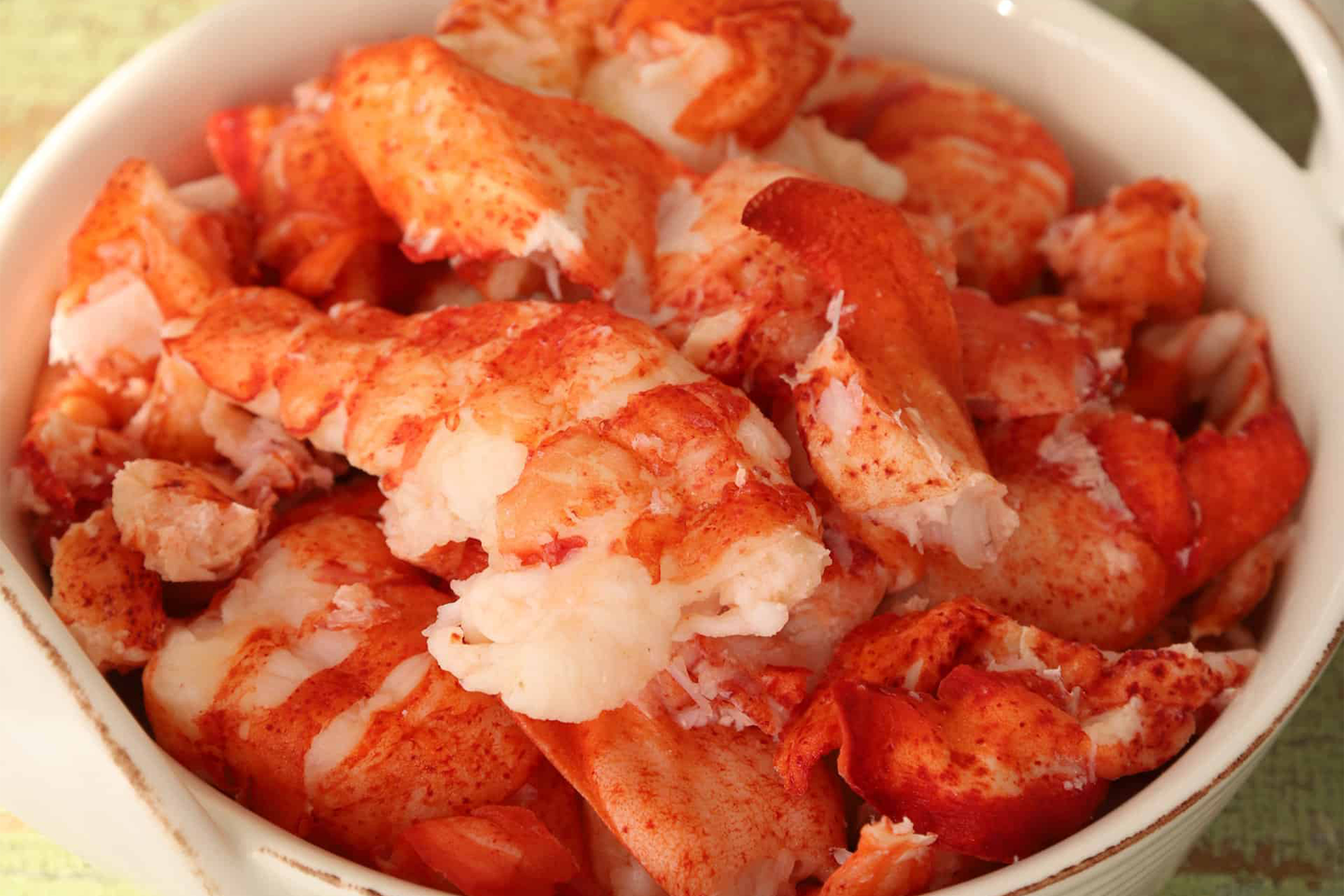 Salmon