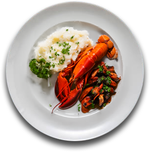 Lobster