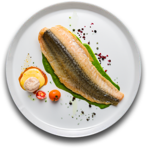 Salmon