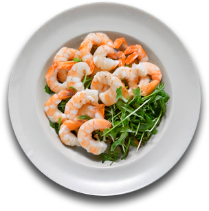 Shrimp