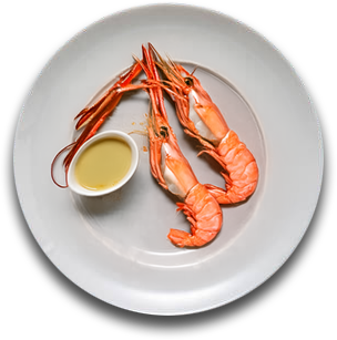 Shrimp