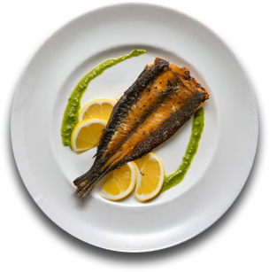 Salmon