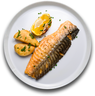 Salmon