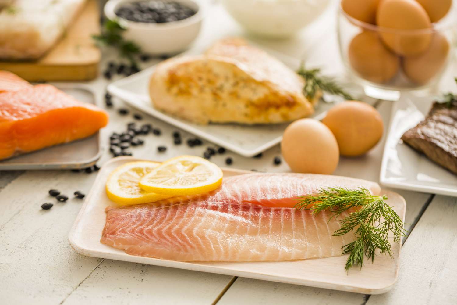 Salmon