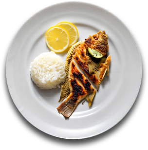 Salmon