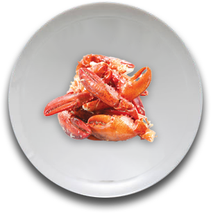 Lobster