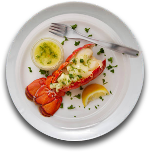 Lobster